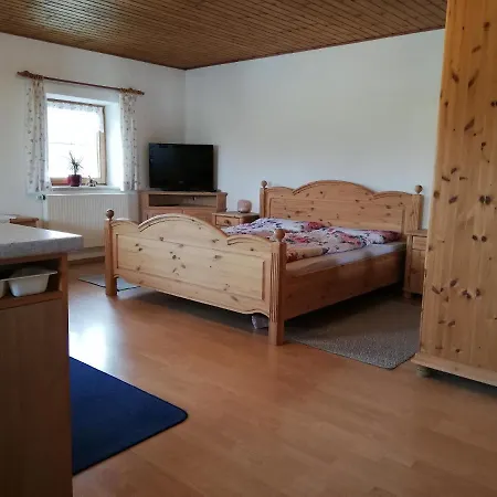 公寓 Ferienapartment Brandstatt 希格